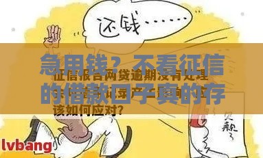 急用钱？不看征信的借款口子真的存在吗？这些细节要注意！