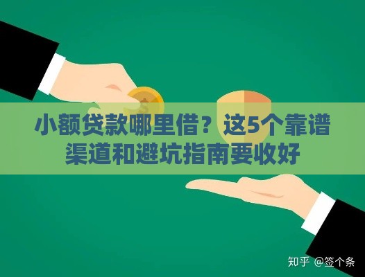 小额贷款哪里借？这5个靠谱渠道和避坑指南要收好