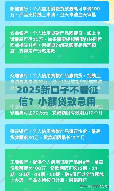 2025新口子不看征信？小额贷款急用钱必看攻略
