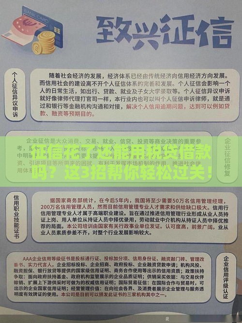 征信花了还能用税贷借款吗？这3招帮你轻松过关！