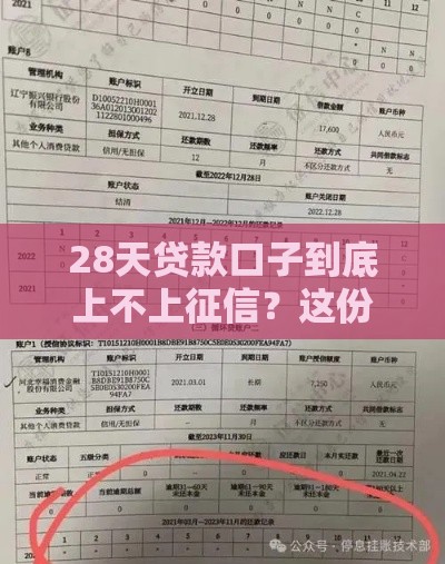 28天贷款口子到底上不上征信？这份避坑指南收好