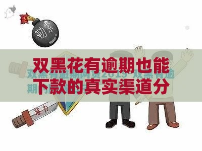 双黑花有逾期也能下款的真实渠道分享