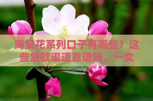 海棠花系列口子有哪些?这些贷款渠道靠谱吗,一文教你避坑! 海棠花系列口子有哪些?这些贷款渠道靠谱吗,一文教你避坑!