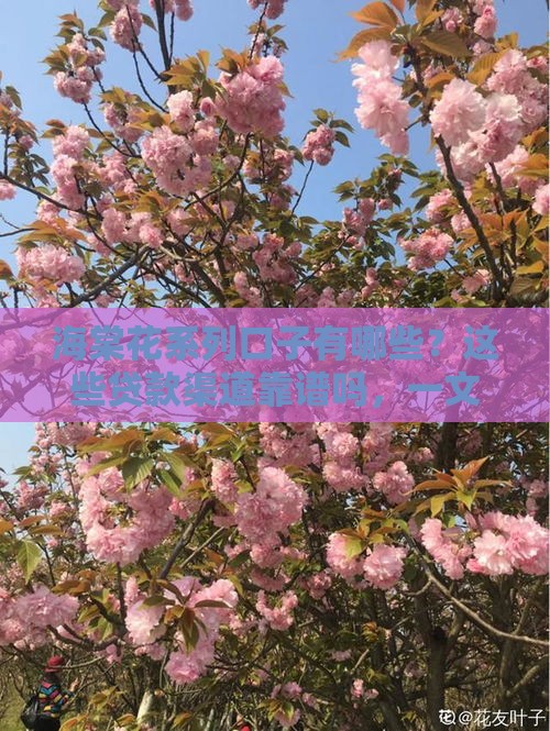 海棠花系列口子有哪些?这些贷款渠道靠谱吗,一文教你避坑! 海棠花系列口子有哪些?这些贷款渠道靠谱吗,一文教你避坑!