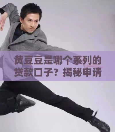 黄豆豆是哪个系列的贷款口子？揭秘申请攻略和避坑指南