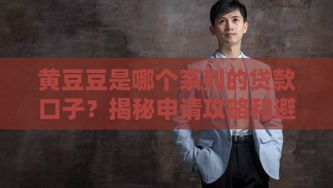 黄豆豆是哪个系列的贷款口子？揭秘申请攻略和避坑指南