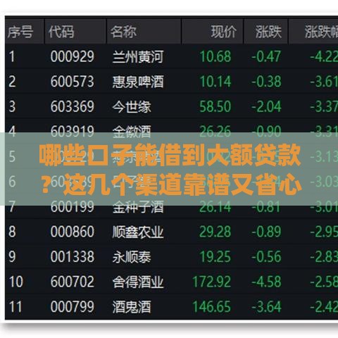 哪些口子能借到大额贷款？这几个渠道靠谱又省心