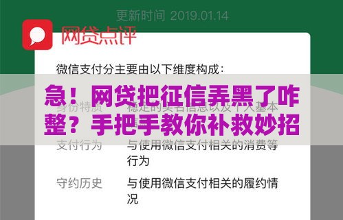 急！网贷把征信弄黑了咋整？手把手教你补救妙招