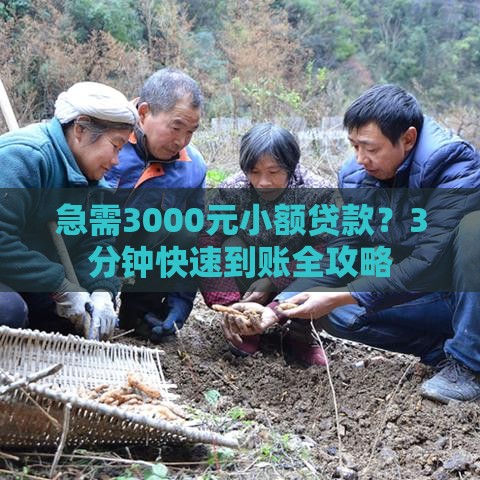 急需3000元小额贷款？3分钟快速到账全攻略