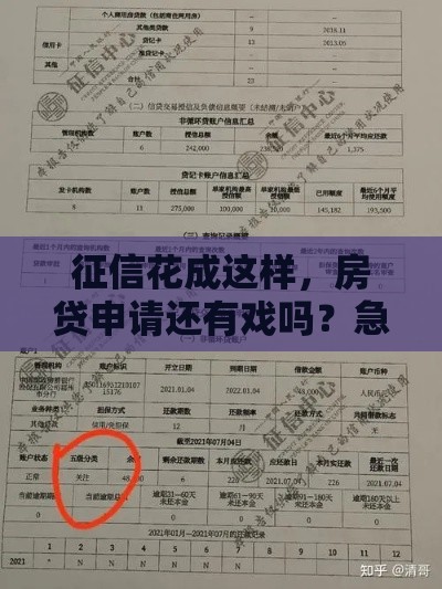 征信花成这样，房贷申请还有戏吗？急！