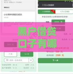 黑户借贷口子有哪些？这5个靠谱渠道必看，救急必看！