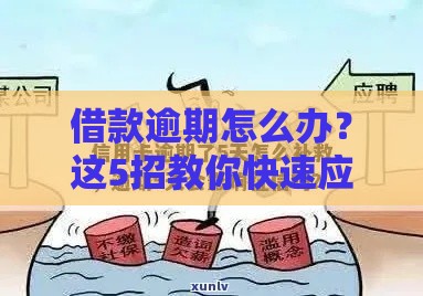 借款逾期怎么办？这5招教你快速应对，避免信用受损！