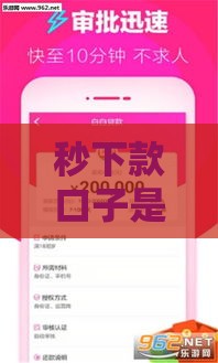 秒下款口子是什么意思？急用钱必看的高效借款渠道解析