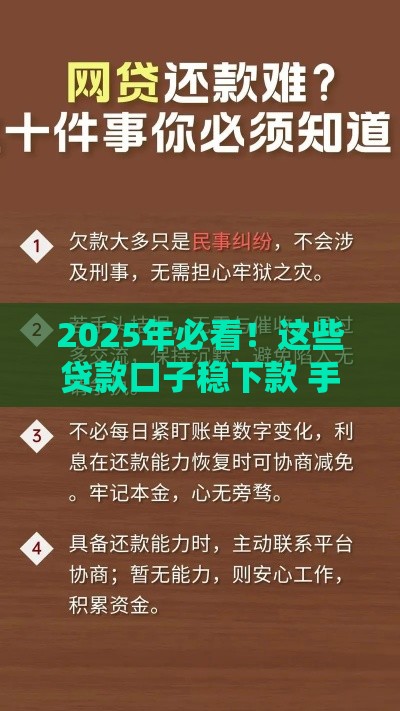 2025年必看！这些贷款口子稳下款 手把手教你避坑指南