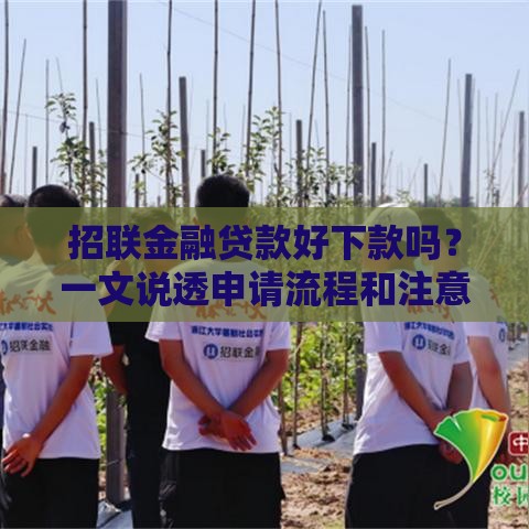 招联金融贷款好下款吗？一文说透申请流程和注意事项！