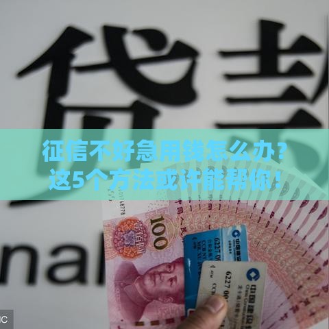 征信不好急用钱怎么办？这5个方法或许能帮你！