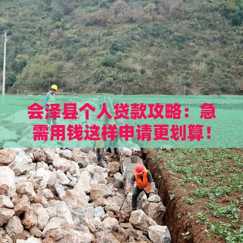 会泽县个人贷款攻略：急需用钱这样申请更划算！