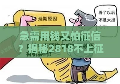 急需用钱又怕征信？揭秘2818不上征信的口子这些细节要注意