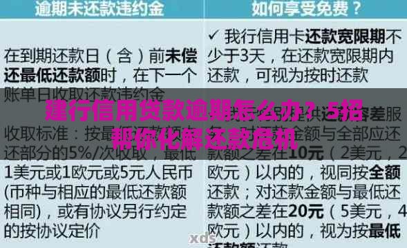 建行信用贷款逾期怎么办？5招帮你化解还款危机