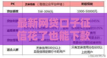 最新网贷口子征信花了也能下款