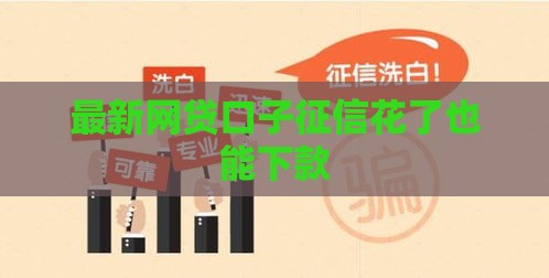 最新网贷口子征信花了也能下款