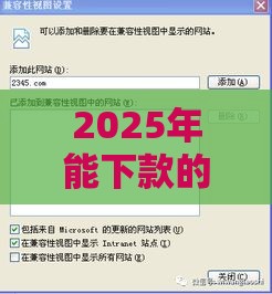2025年能下款的网贷盘点：最新攻略助你轻松申请！