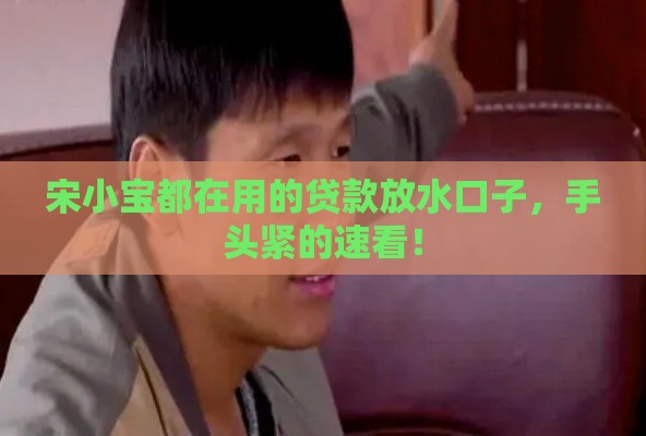 宋小宝都在用的贷款放水口子，手头紧的速看！
