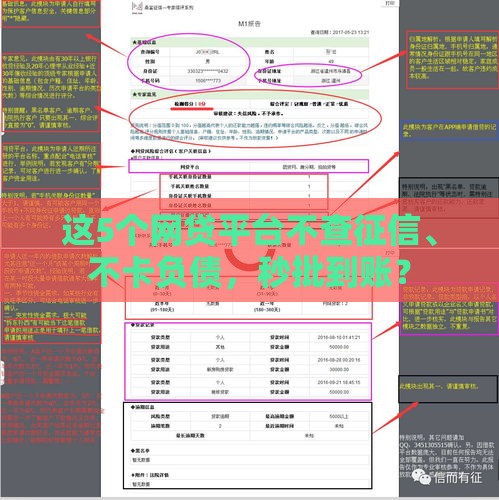 这5个网贷平台不查征信、不卡负债，秒批到账？