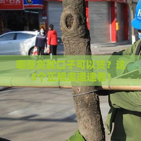 哪些贷款口子可以贷？这5个正规渠道速看！