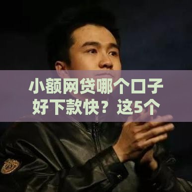 小额网贷哪个口子好下款快？这5个平台审核松、放款稳