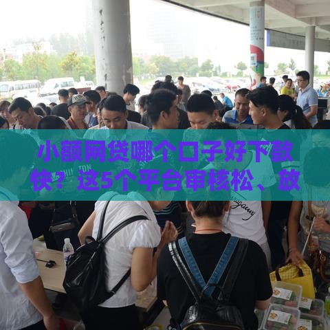 小额网贷哪个口子好下款快？这5个平台审核松、放款稳