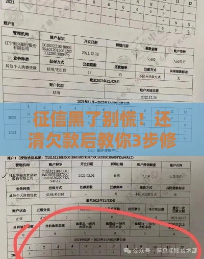 征信黑了别慌！还清欠款后教你3步修复信用记录