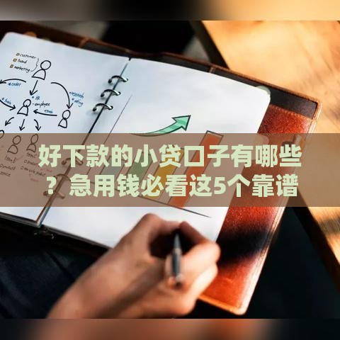 好下款的小贷口子有哪些？急用钱必看这5个靠谱推荐，快速到账亲测有效！