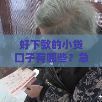 好下款的小贷口子有哪些？急用钱必看这5个靠谱推荐，快速到账亲测有效！