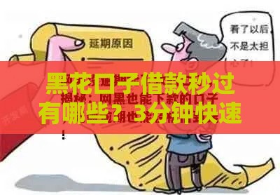 黑花口子借款秒过有哪些？3分钟快速到账避坑指南