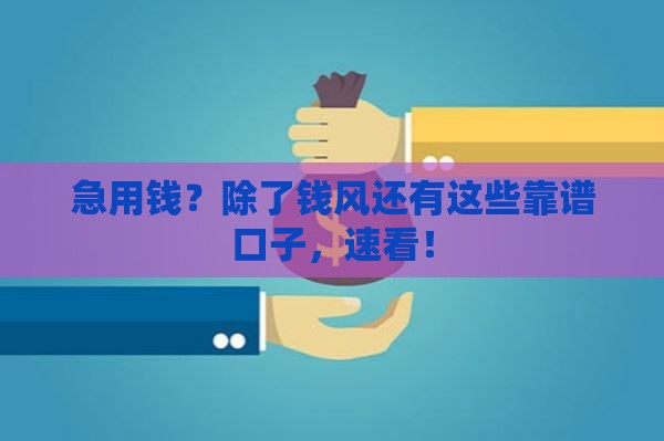 急用钱？除了钱风还有这些靠谱口子，速看！