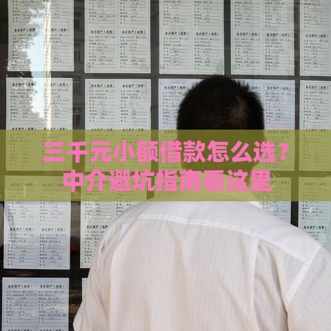 三千元小额借款怎么选？中介避坑指南看这里