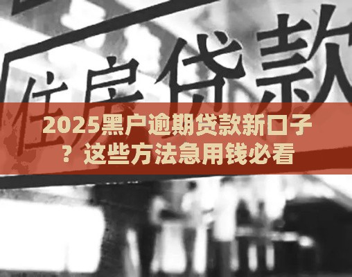 2025黑户逾期贷款新口子？这些方法急用钱必看