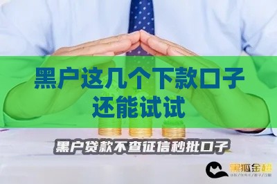 黑户这几个下款口子还能试试