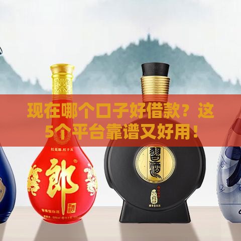 现在哪个口子好借款？这5个平台靠谱又好用！