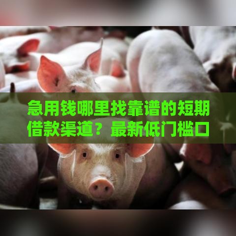急用钱哪里找靠谱的短期借款渠道？最新低门槛口子推荐