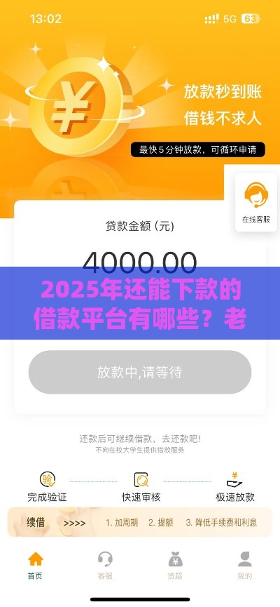 2025年还能下款的借款平台有哪些？老哥实测这5家放款稳！
