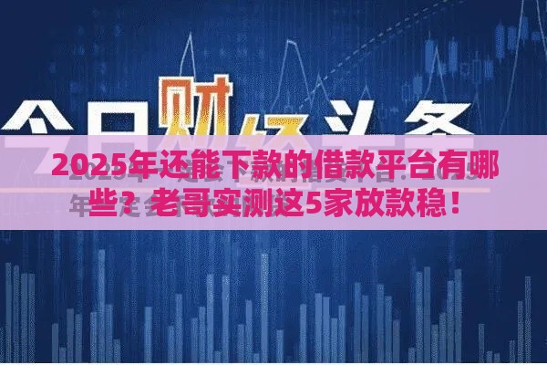 2025年还能下款的借款平台有哪些？老哥实测这5家放款稳！