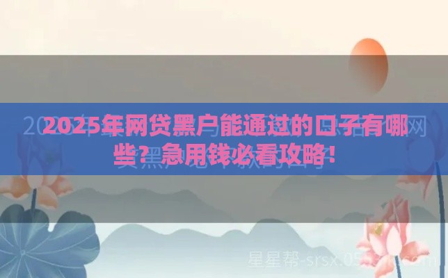 2025年网贷黑户能通过的口子有哪些？急用钱必看攻略！