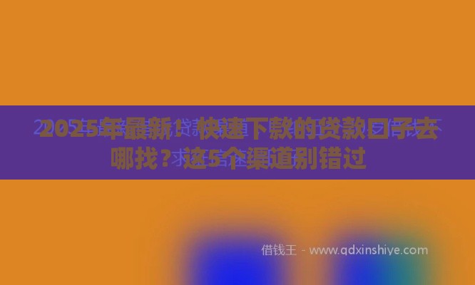 2025年最新！快速下款的贷款口子去哪找？这5个渠道别错过