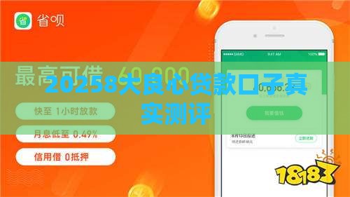 20258大良心贷款口子真实测评