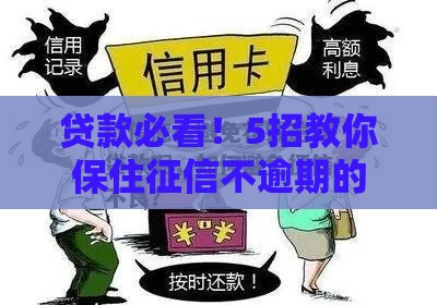 贷款必看！5招教你保住征信不逾期的小妙招