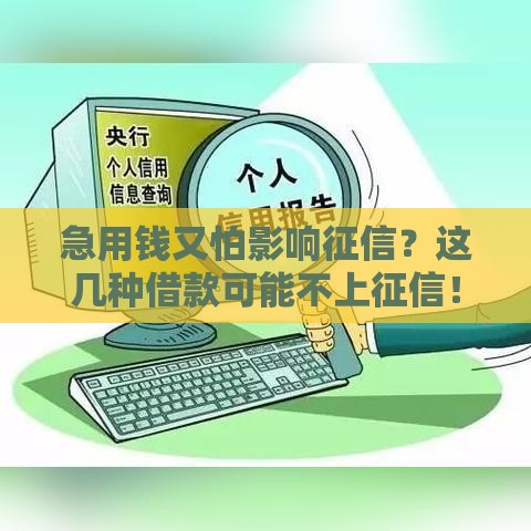 急用钱又怕影响征信？这几种借款可能不上征信！
