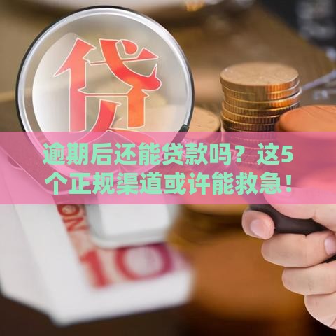 逾期后还能贷款吗？这5个正规渠道或许能救急！