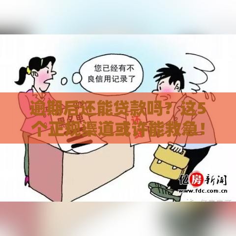 逾期后还能贷款吗？这5个正规渠道或许能救急！
